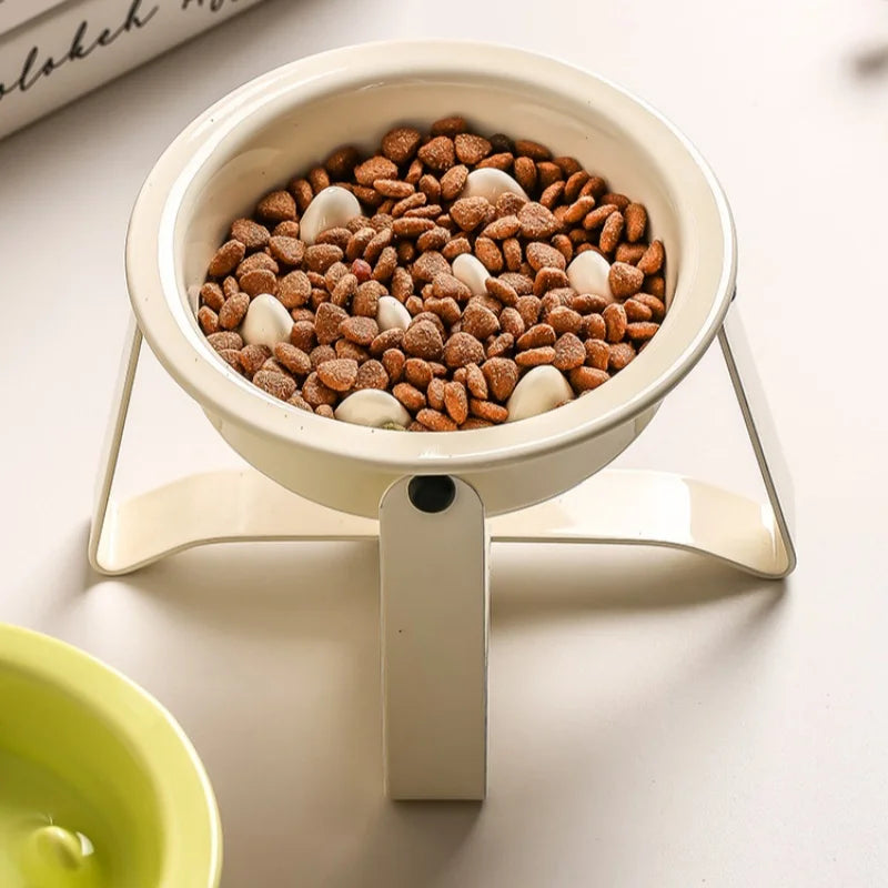 Elevated Ceramic Slow Feeder Dog Bowl
