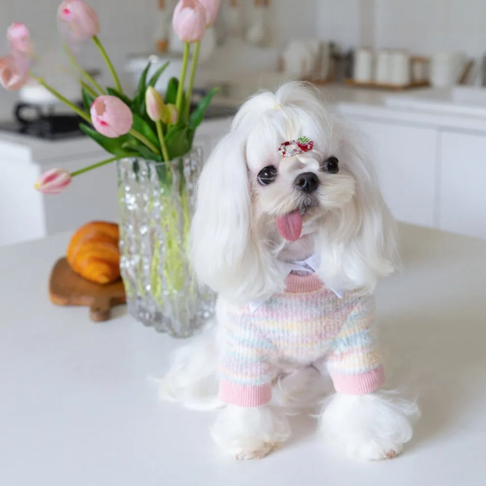 Pastel Multi Knit Sweater