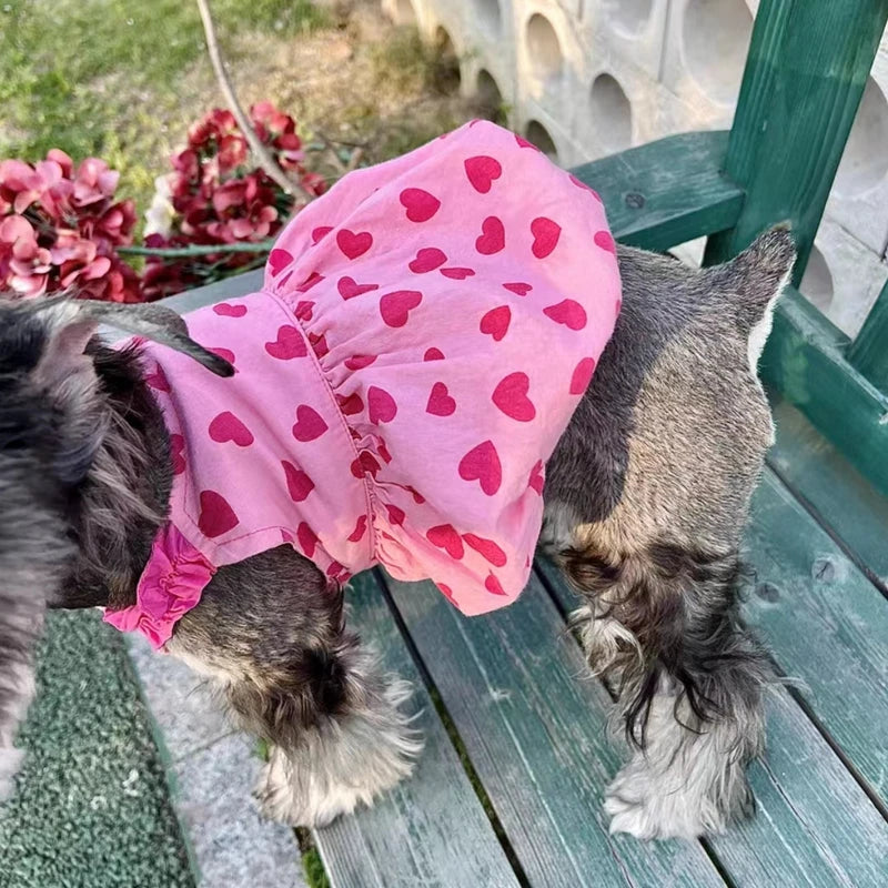 Pink Heart Dress
