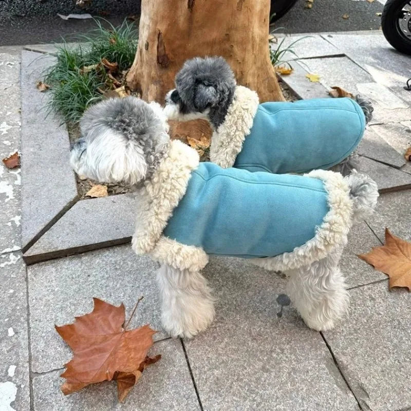 Faux Shearling Jacket