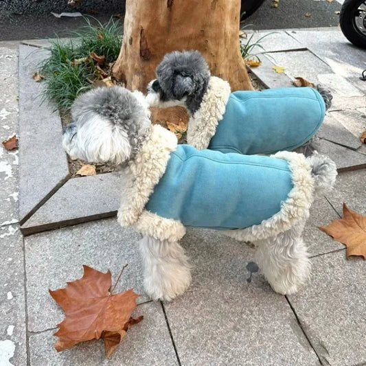 Faux Shearling Jacket