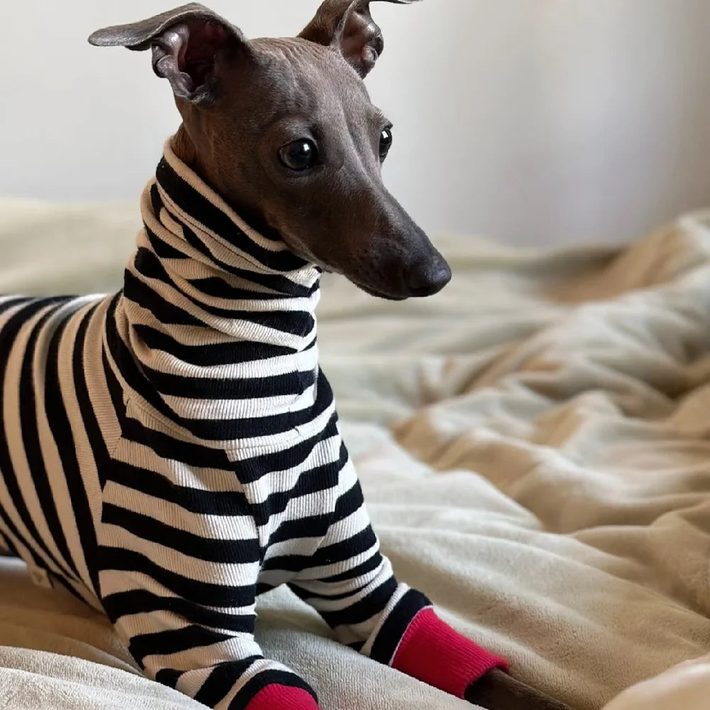 The Midnight Stripe Jumpsuit