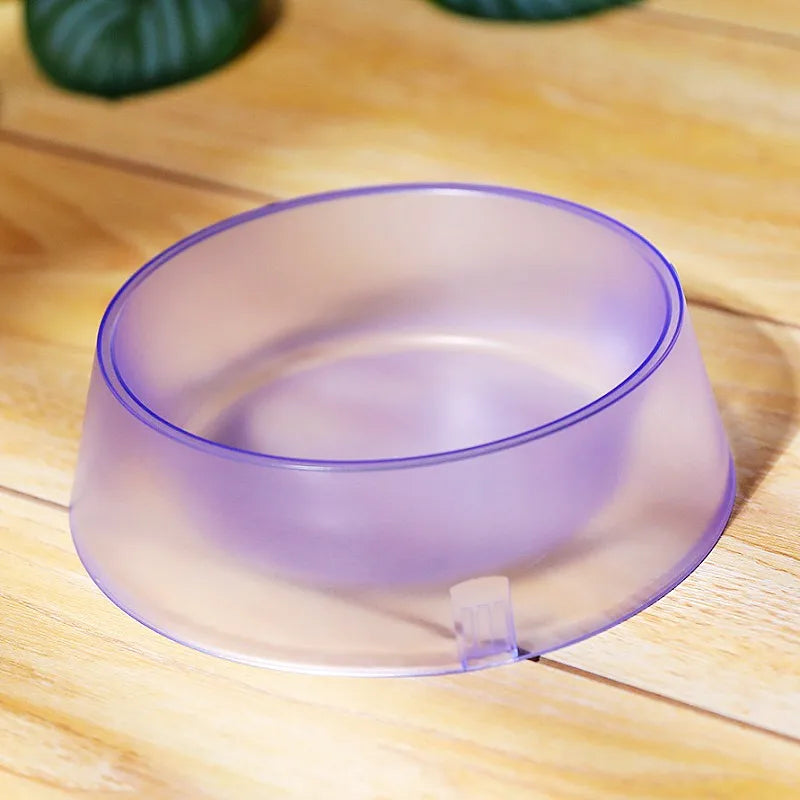 Translucent Bowl