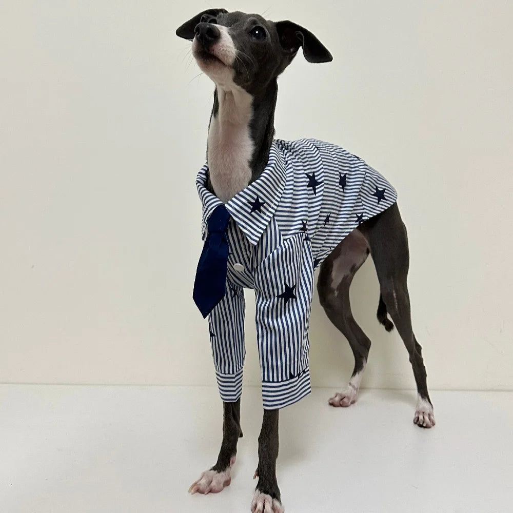 The Star Striped Button-Up