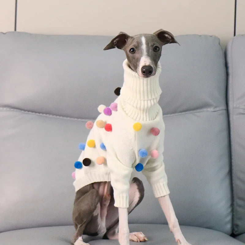 Pom Pom Parade Sweater