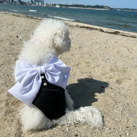 One-Piece Bow Swimsuit