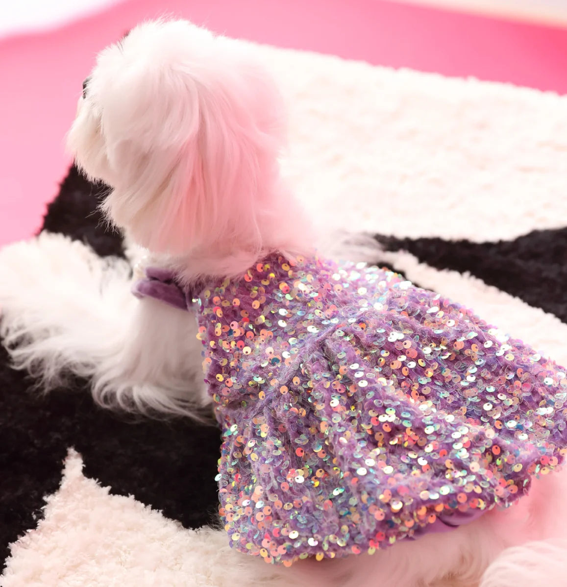 Glam Sequin Party Dress
