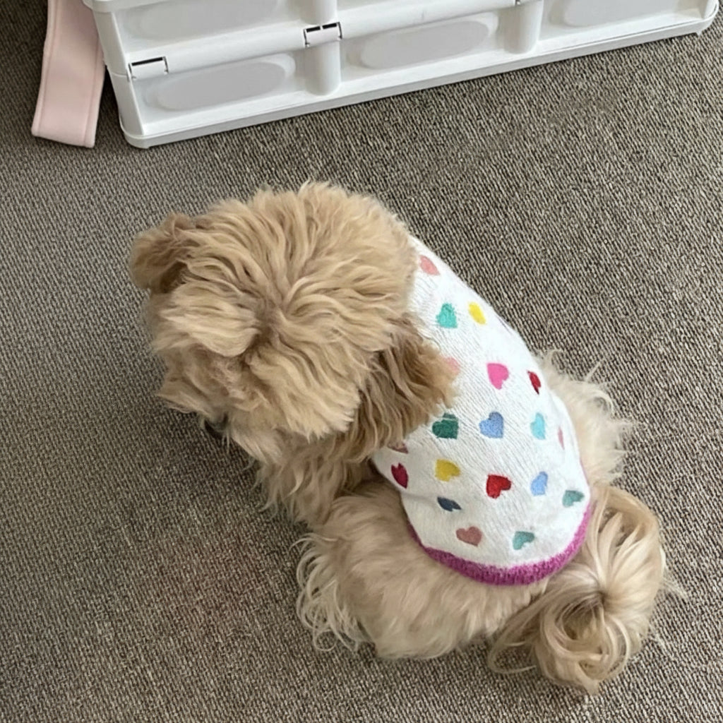 Heartfelt Knit Sweater