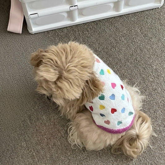 Heartfelt Knit Sweater