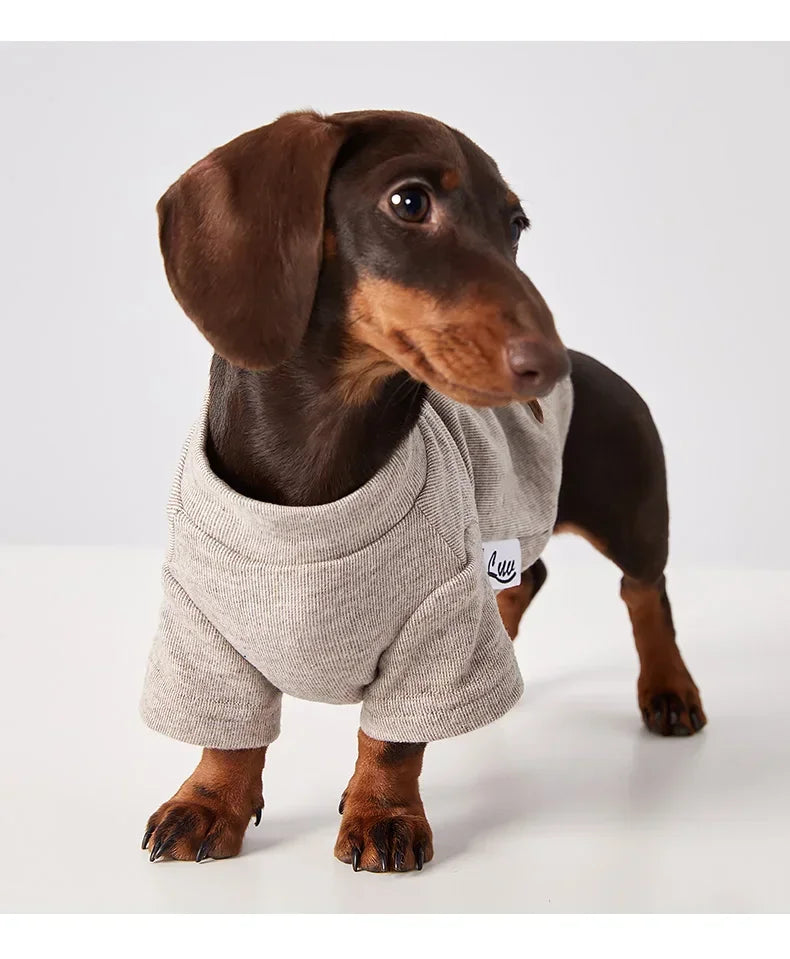 The Longbody Cozy Tee