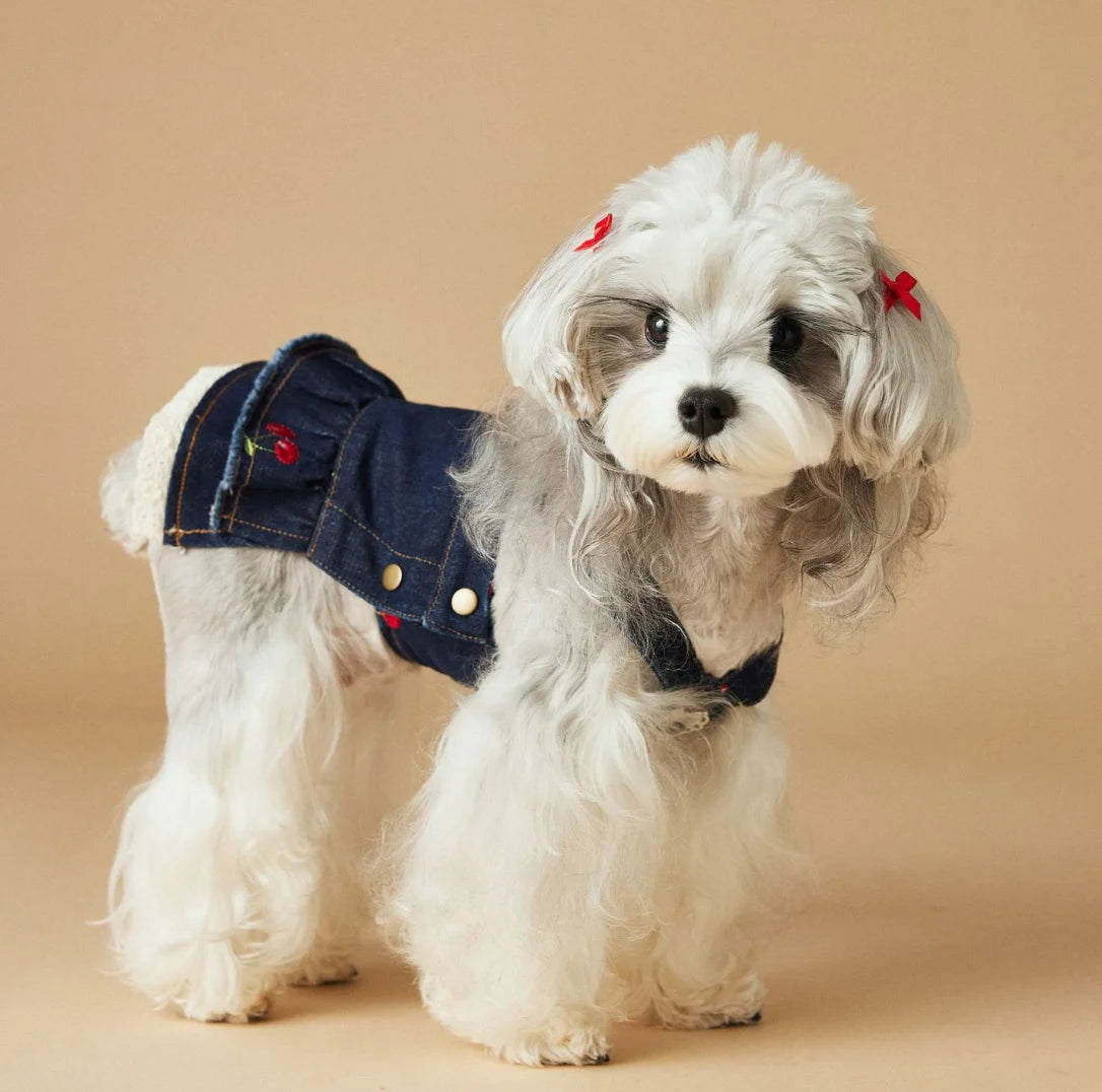 The Cherry Denim Dress