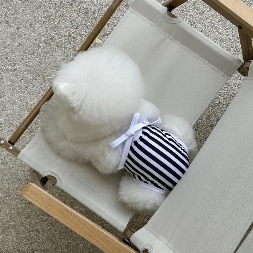 The Splash & Stripes Swimsuit