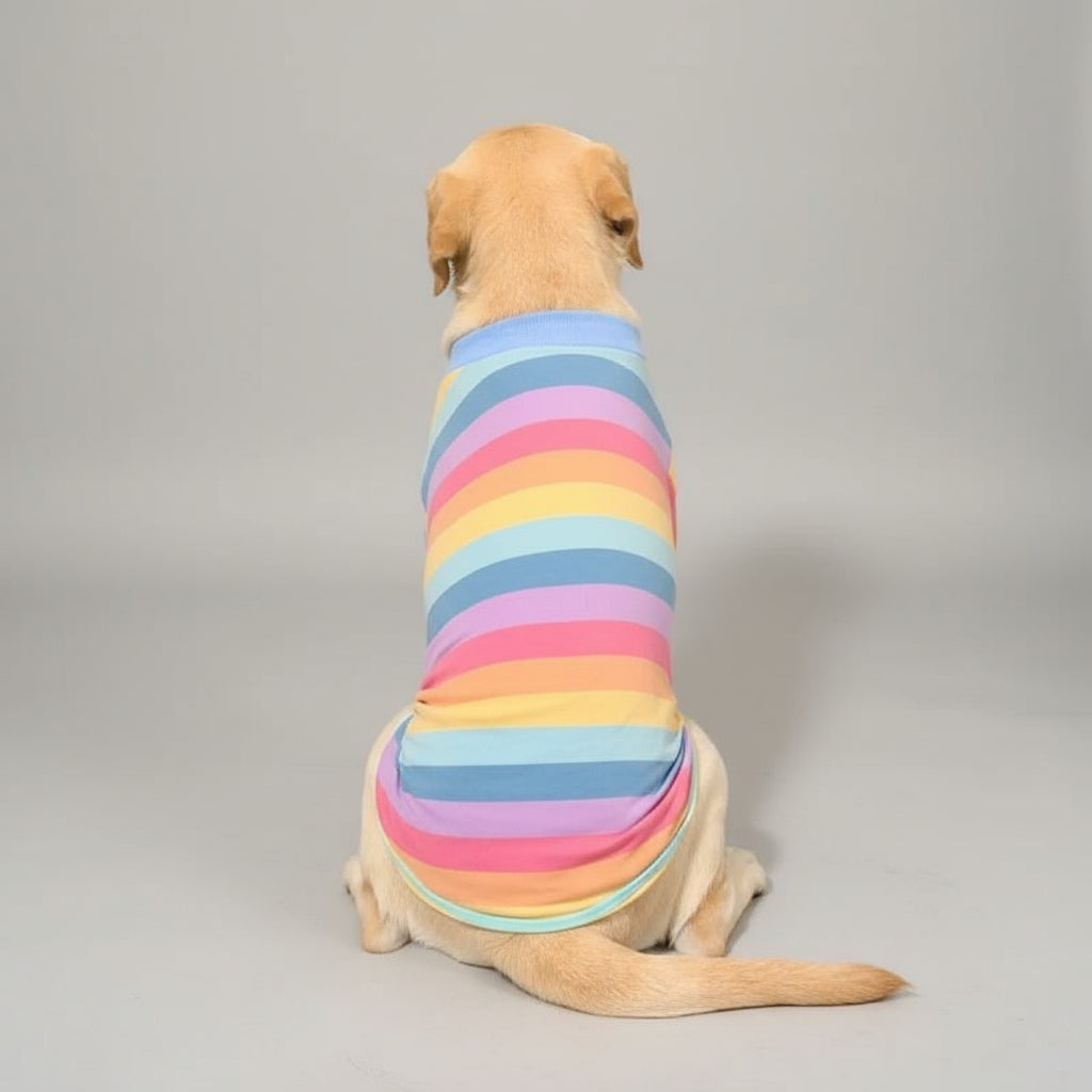 The Rainbow Dream Tee