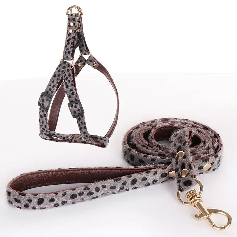 Leopard Print Dog Collar & Leash Set