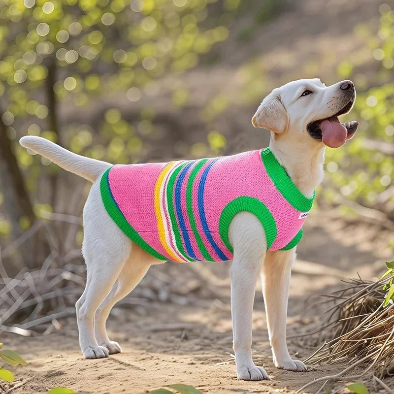 The Cozy Core Sweater