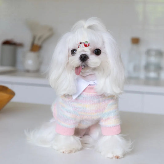 Pastel Multi Knit Sweater