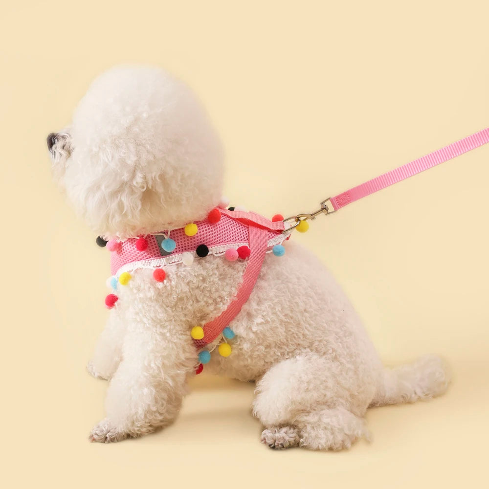 Rainbow Pom-Pom Dog Harness & Leash Set