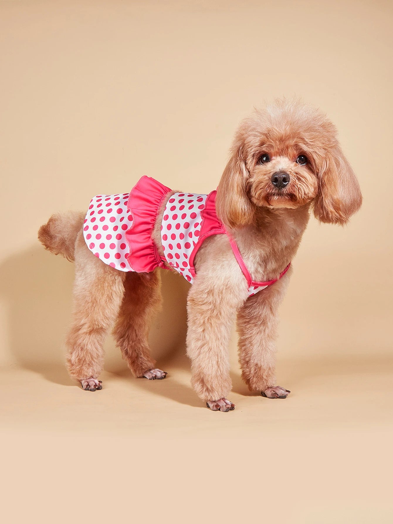 Polka Dot Two Piece Swimsuit