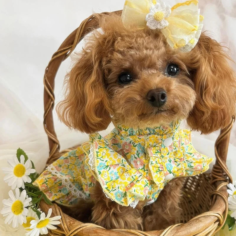 Yellow Floral Printed Dress
