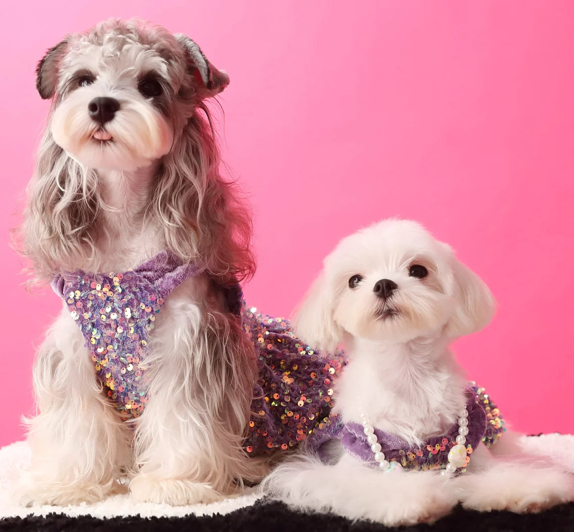 Glam Sequin Party Dress