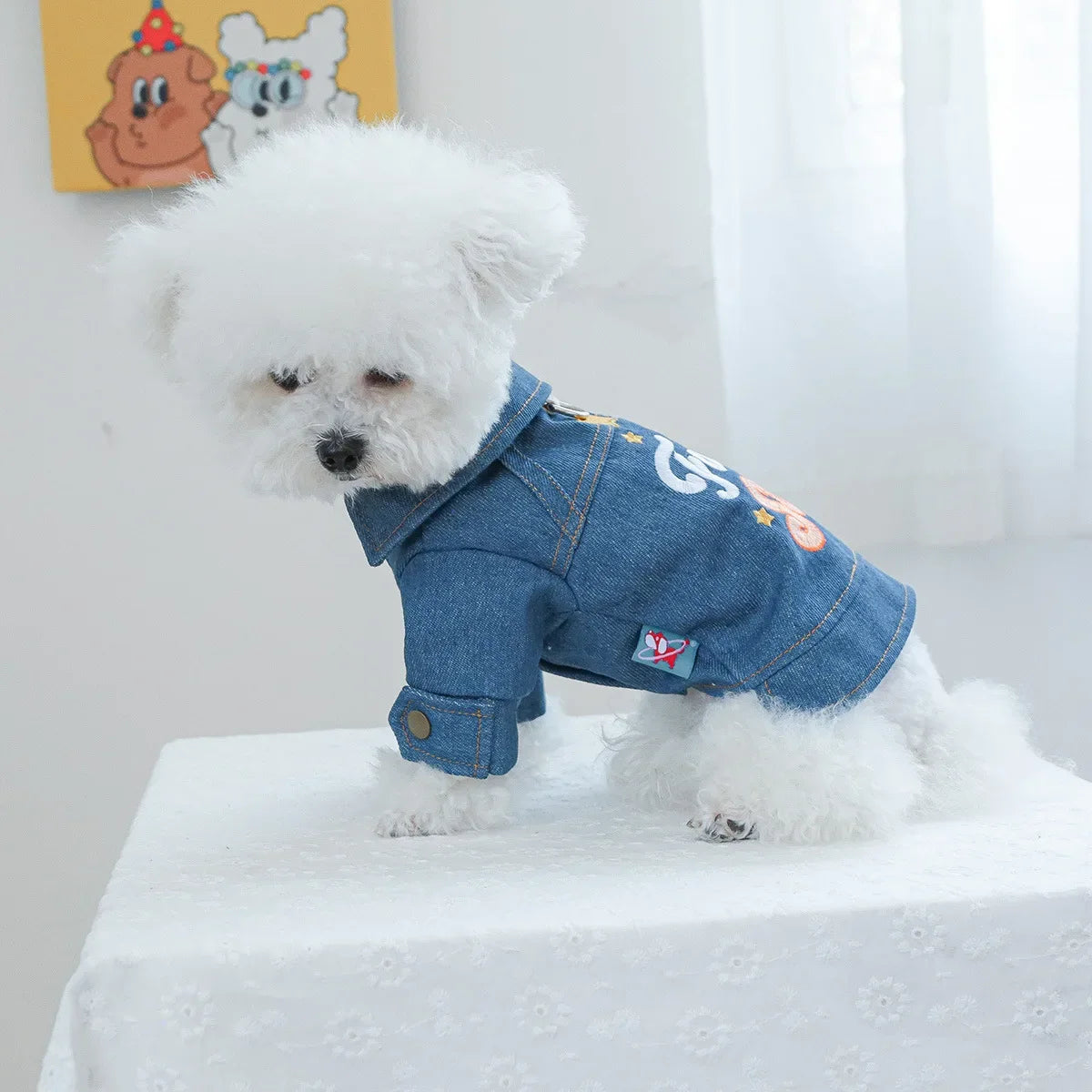 The Future Star Denim Jacket