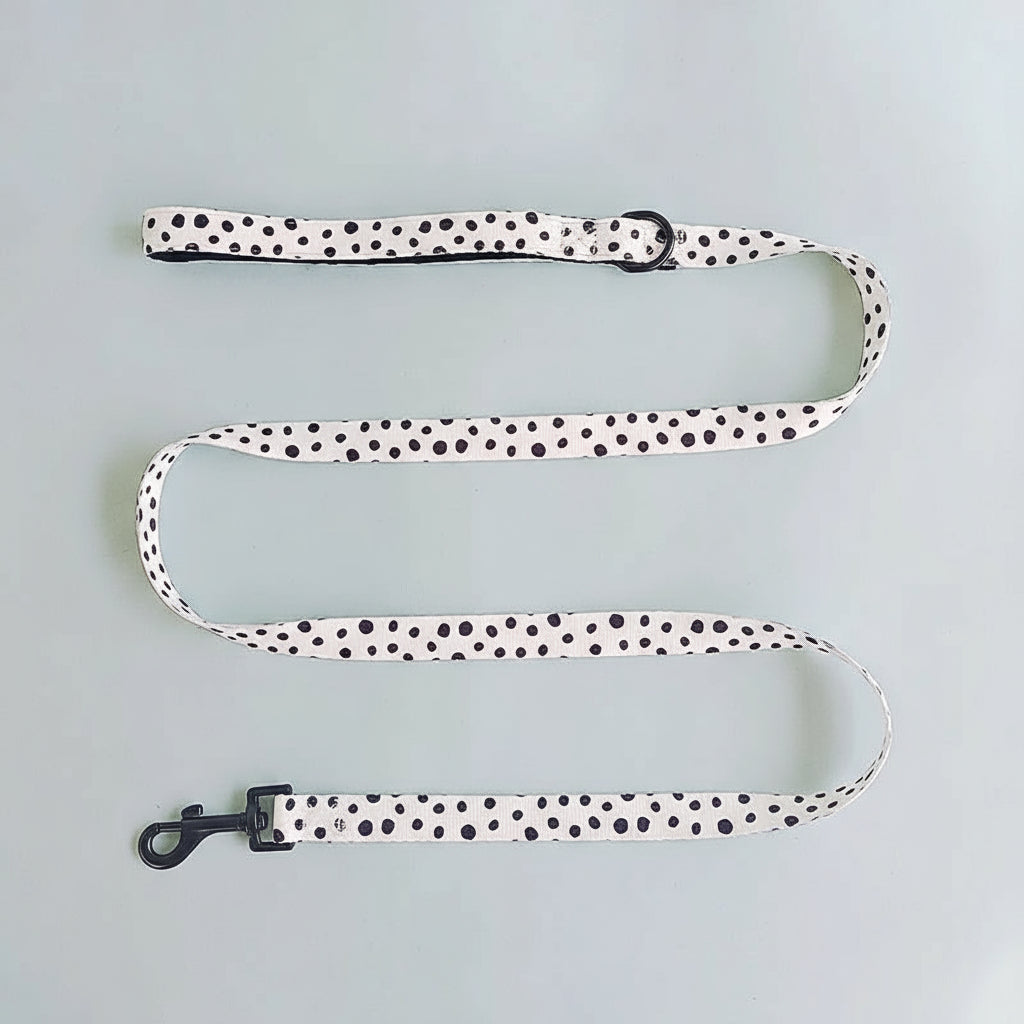 The Dotty Walk Set