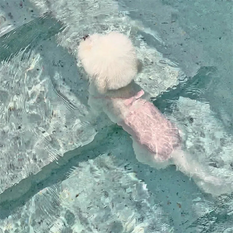 The Poolside Pup Swimsuit