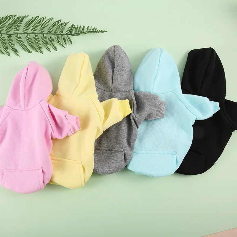 Everyday Pup Hoodie