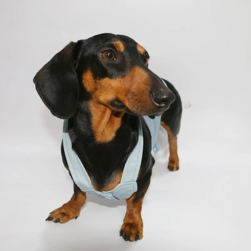 The Denim Blossom Dress LB