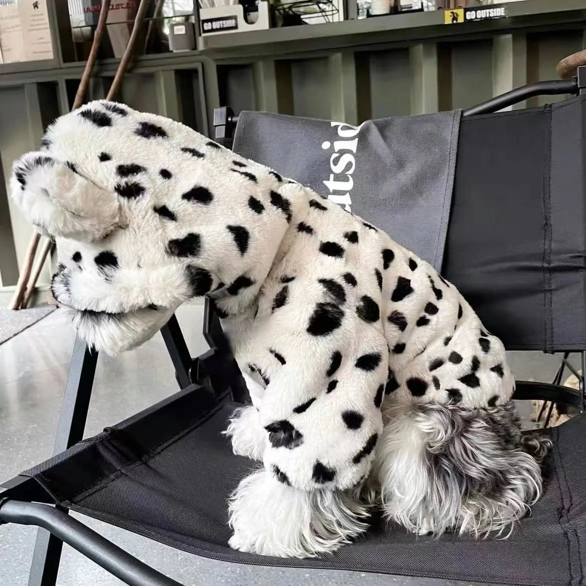White Leopard Dog Coat