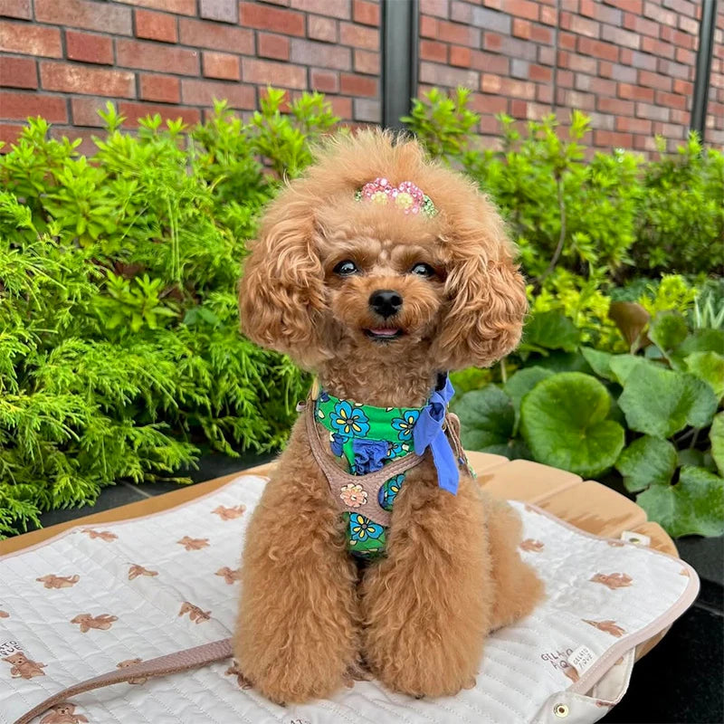 Garden Bloom Ruffle Dress
