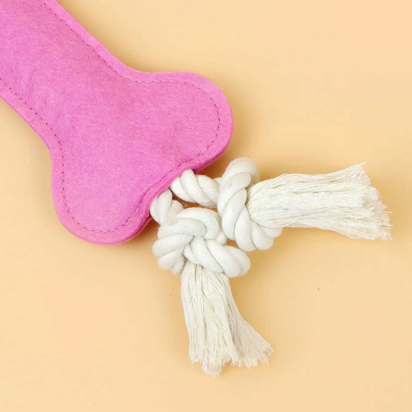 Plush Squeaky Dog Bone Toy