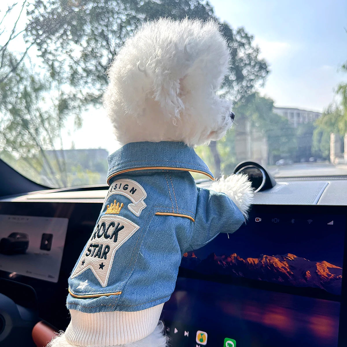 The Rockstar Denim Jacket