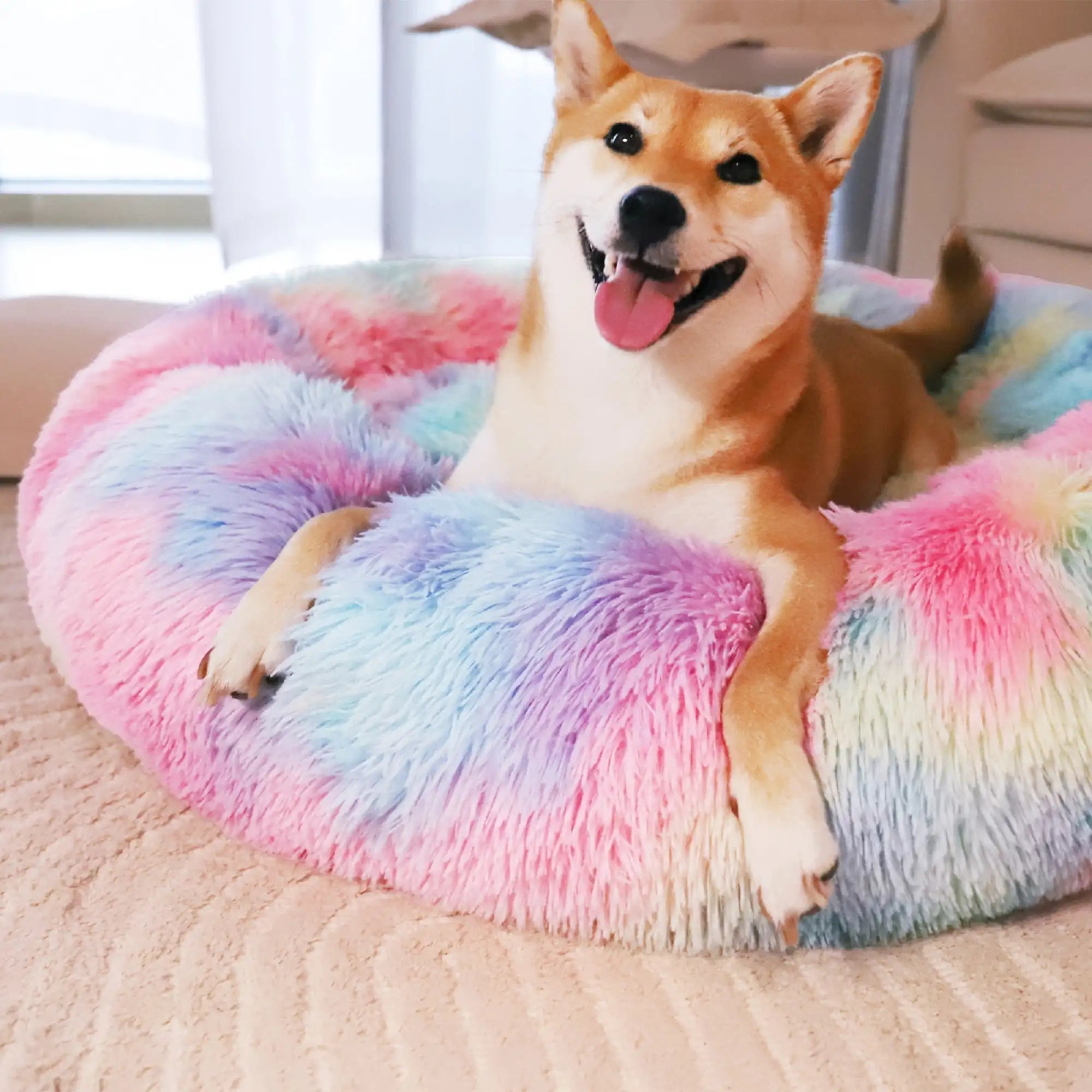 Calming Donut Dog Bed