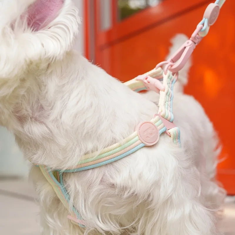 Pastel Leash Set