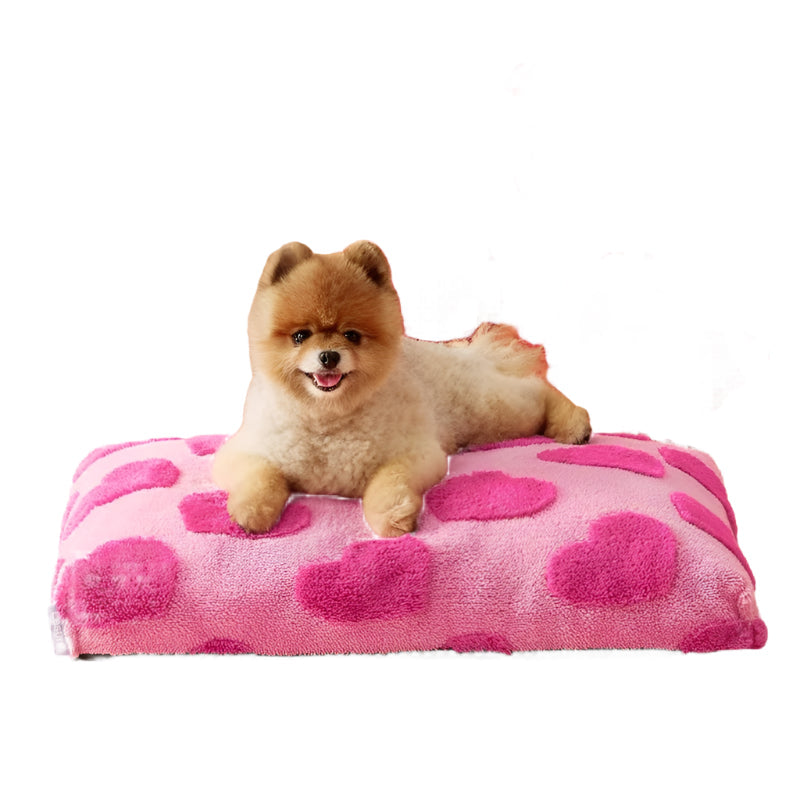 Cozy Large Dog Bed