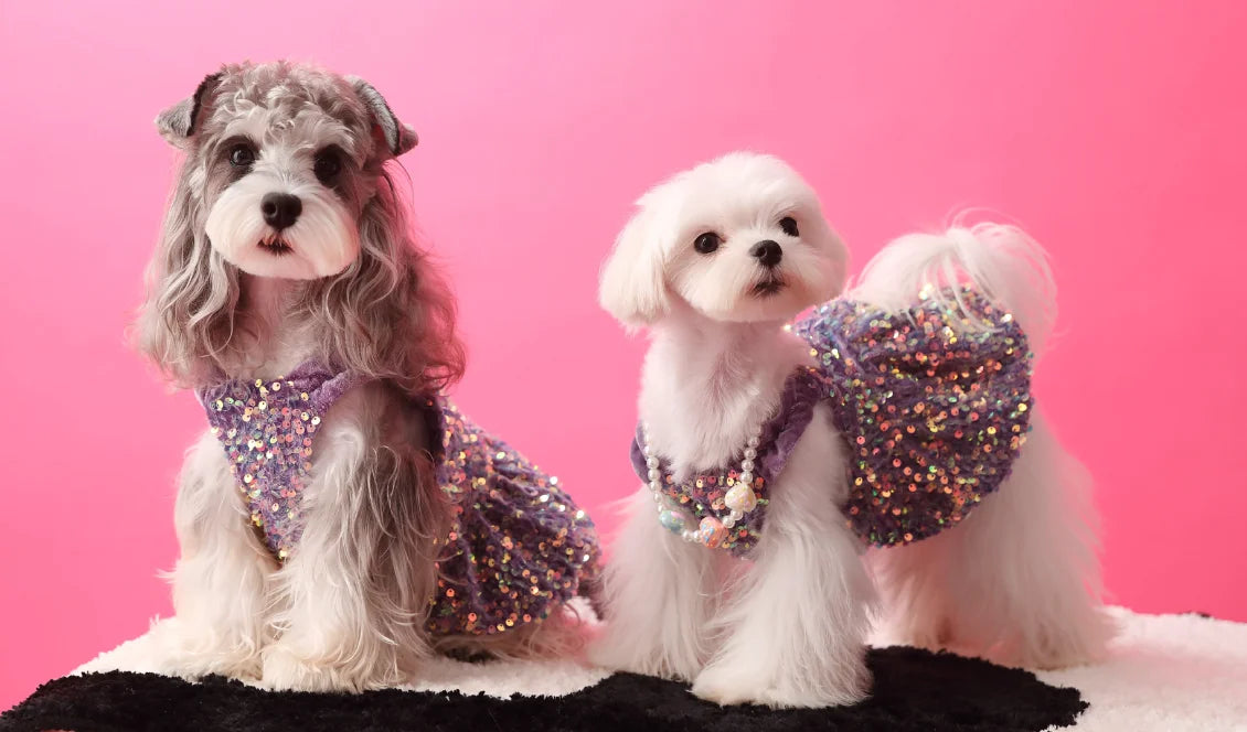 Glam Sequin Party Dress