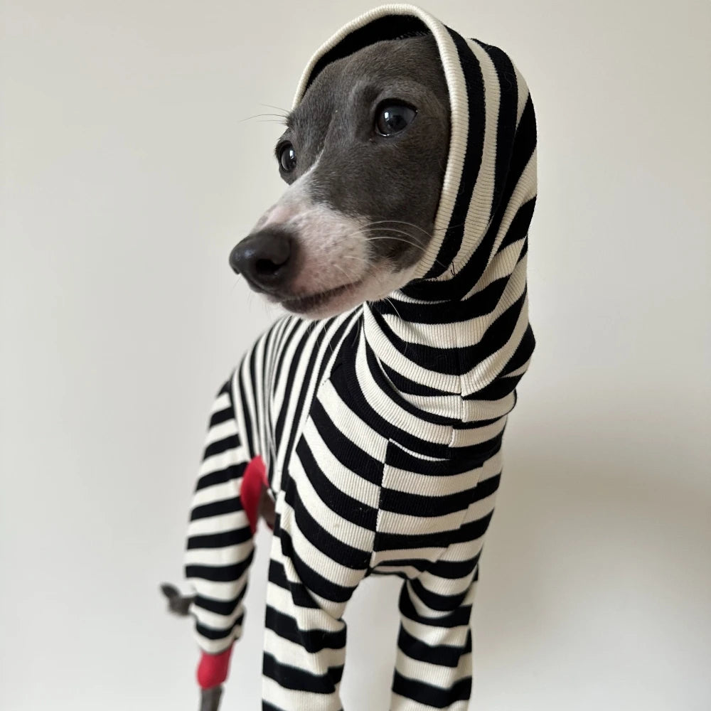 The Midnight Stripe Jumpsuit