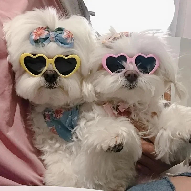 Heart-Shaped Pet Sunglasses