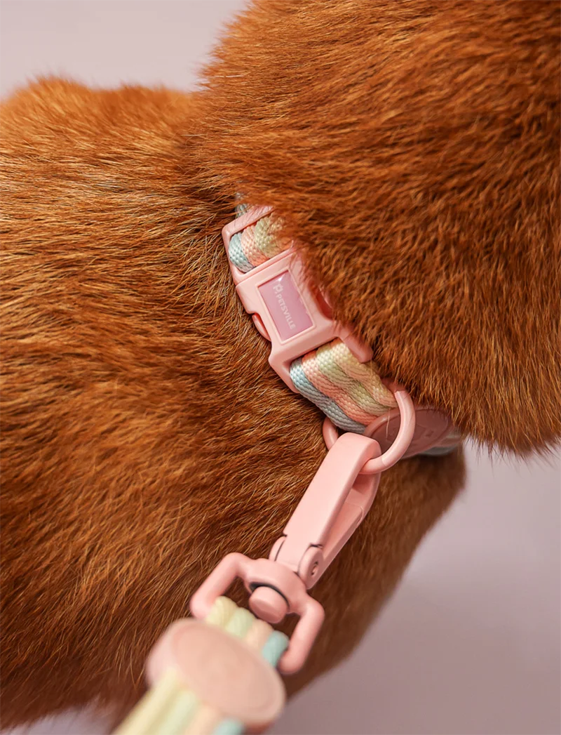 Pastel Leash Set