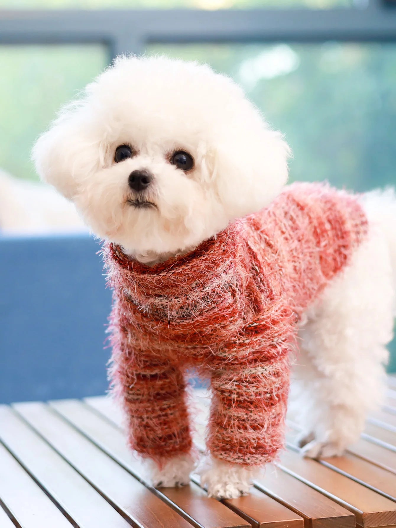 Knit Turtleneck Dog Sweater