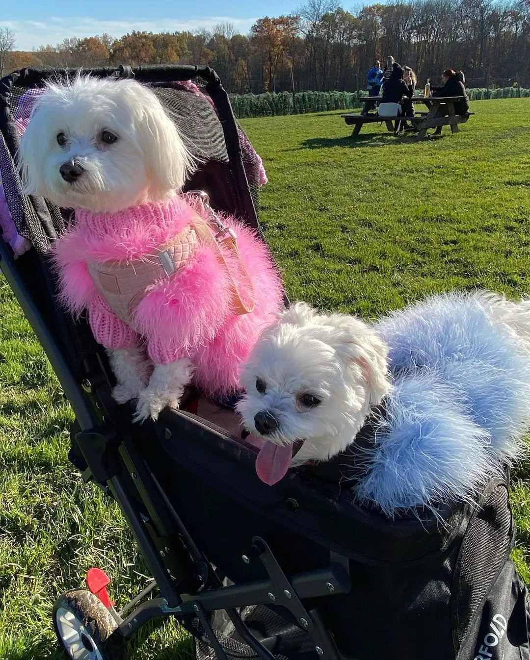 Fluffy Party Sweater