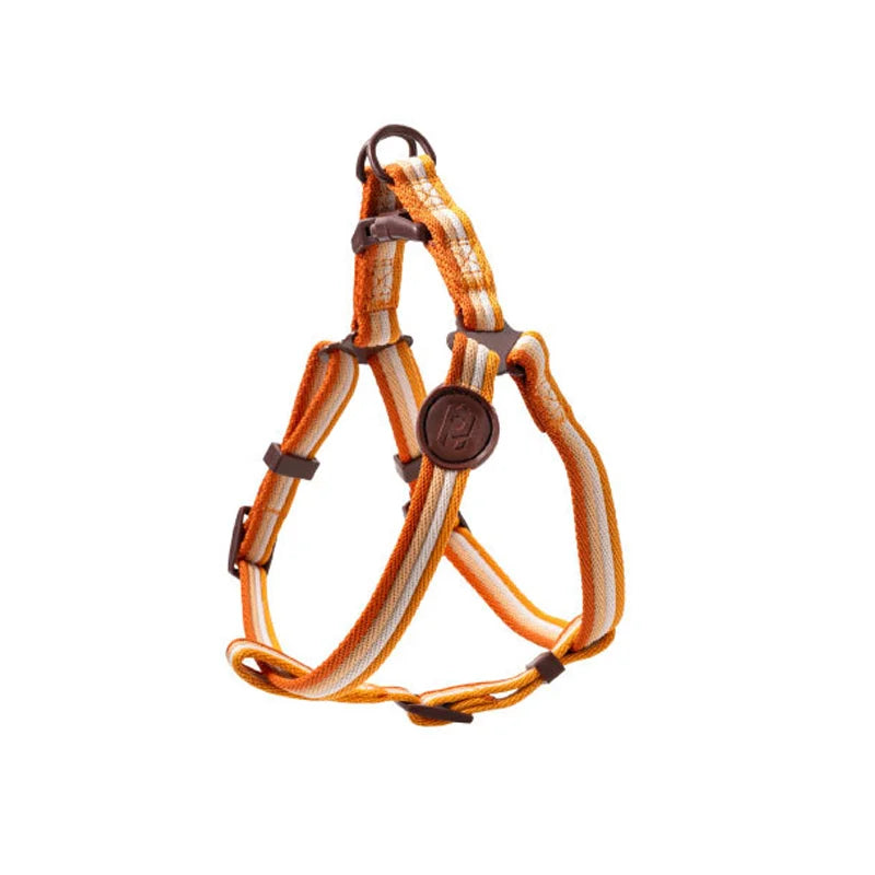 The Everyday Explorer Leash Set