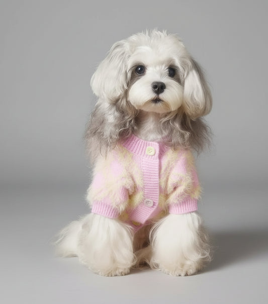 The Marshmallow Argyle Sweater