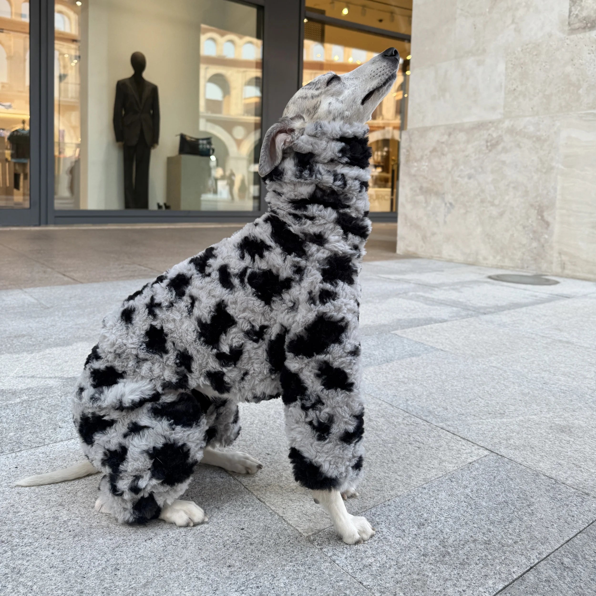 The Marshmallow Cow Jumper