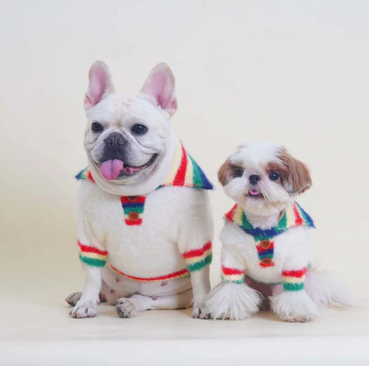 The Retro Rainbow Polo