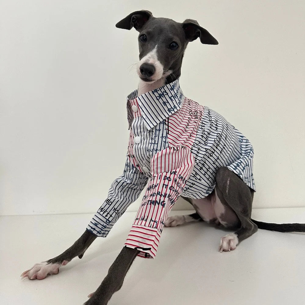 The Graffiti Stripe Button-Up