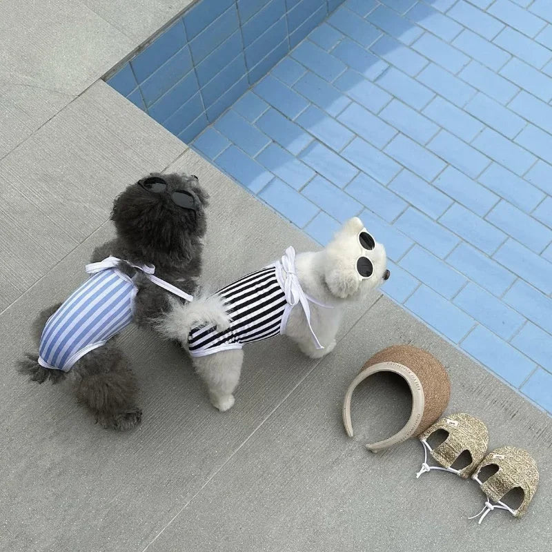 The Splash & Stripes Swimsuit