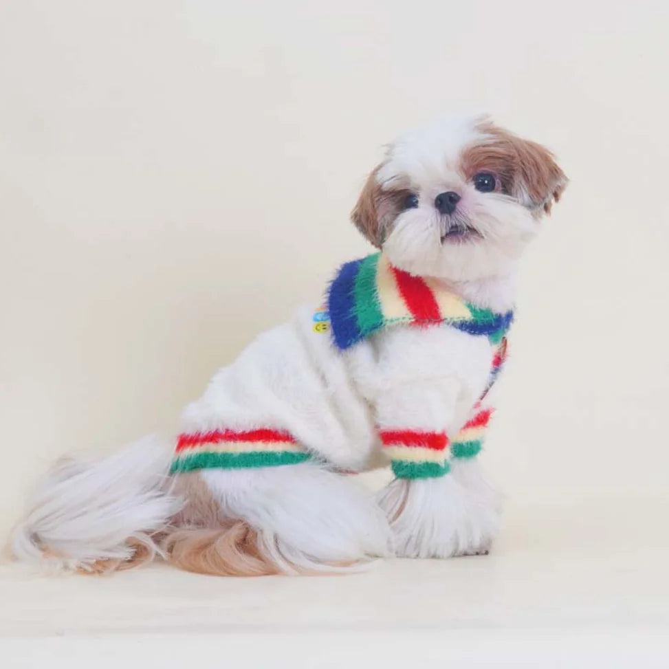 The Retro Rainbow Polo