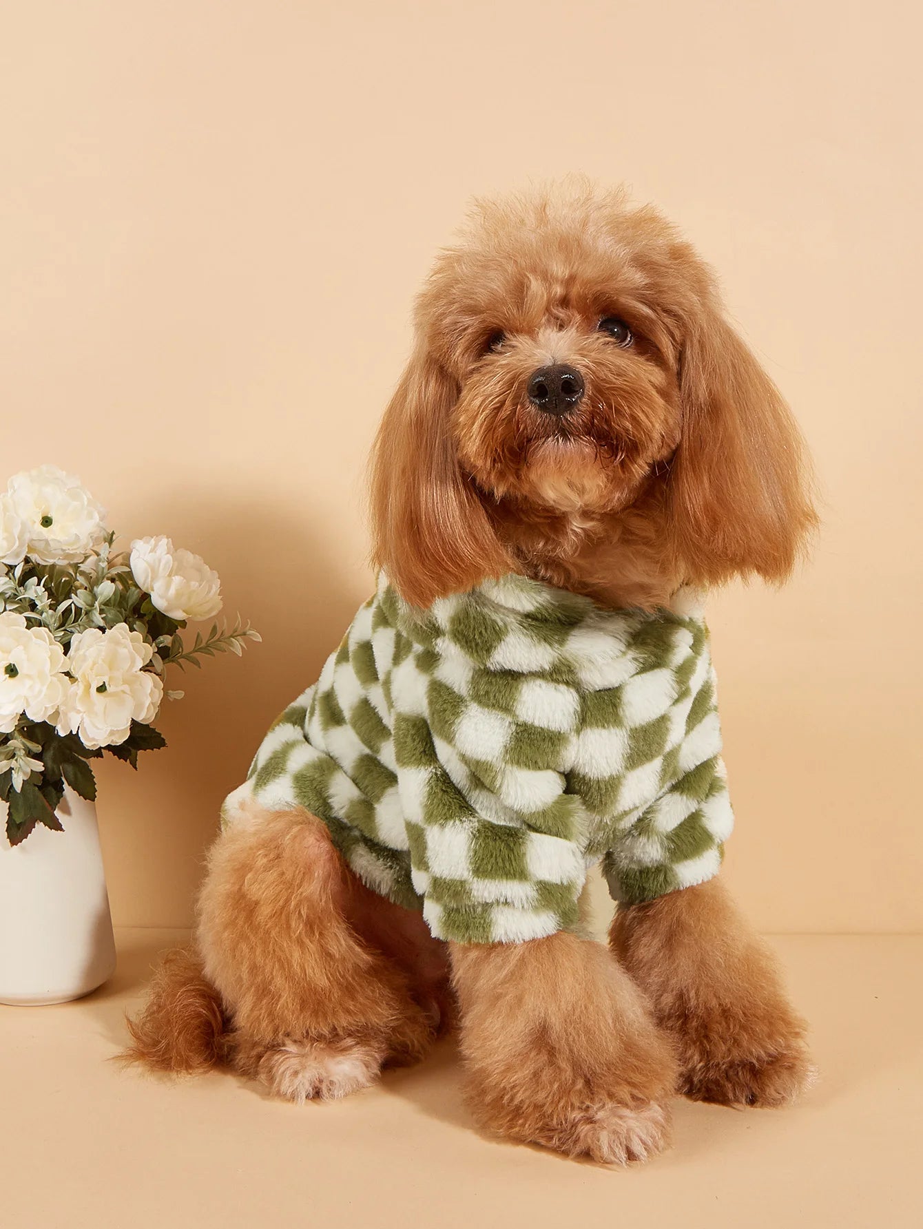 Plaid Dog Hoodie